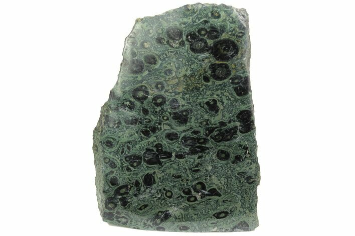 Free-Standing, Single-Side Polished Kambaba Jasper - Madagascar #221050